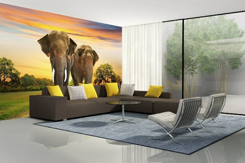 Vlies Fototapete - Elefantenfamilie bei Sonnenuntergang 375 x 250 cm